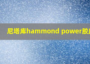 尼塔库hammond power胶皮测评